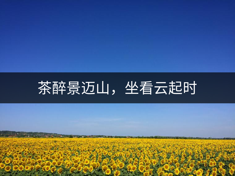 茶醉景邁山，坐看云起時(shí)