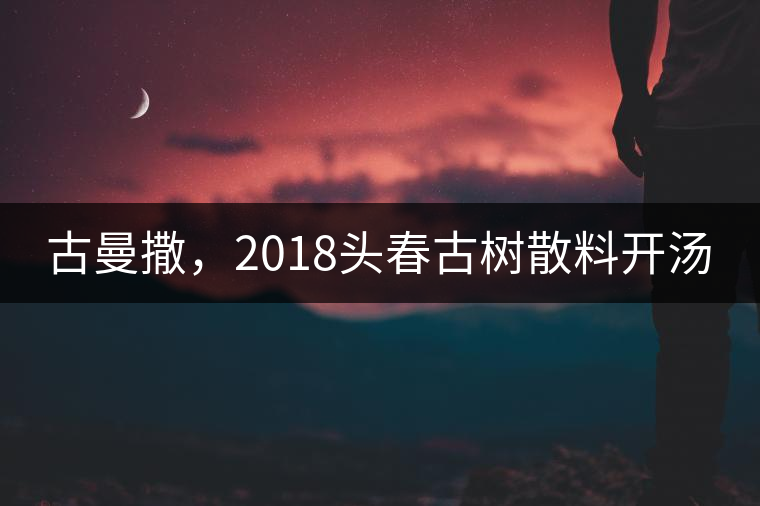 古曼撒，2018頭春古樹散料開湯