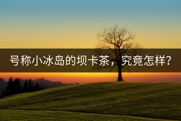 號稱小冰島的壩卡茶，究竟怎樣？