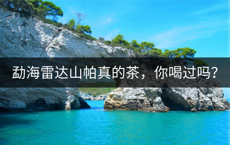 勐海雷達山帕真的茶，你喝過嗎？