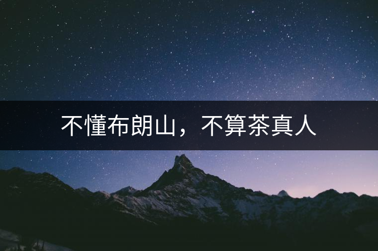 不懂布朗山，不算茶真人