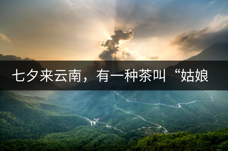 七夕來云南，有一種茶叫“姑娘茶”，也許你就能遇上