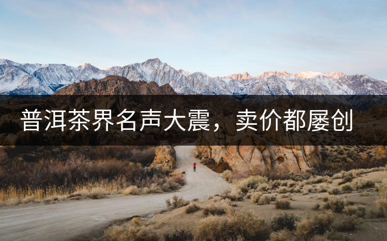 普洱茶界名聲大震，賣價都屢創(chuàng)新高竟然是它