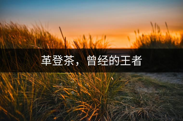 革登茶，曾經(jīng)的王者