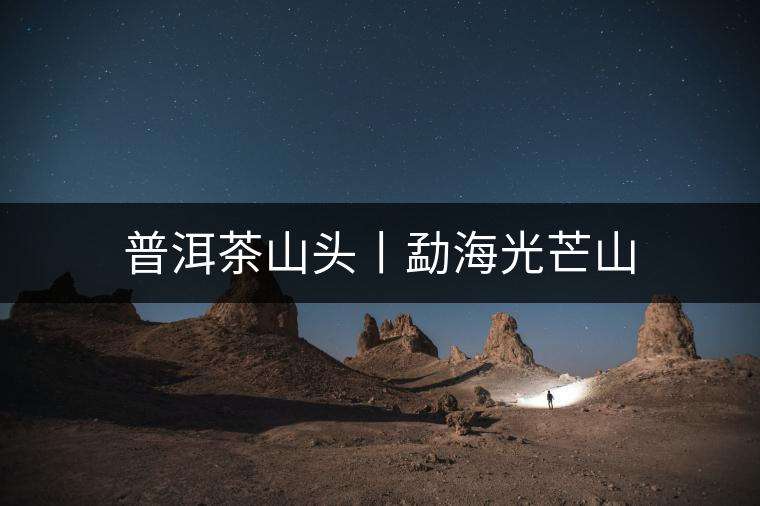 普洱茶山頭丨勐海光芒山 普洱茶山頭丨勐海光芒山