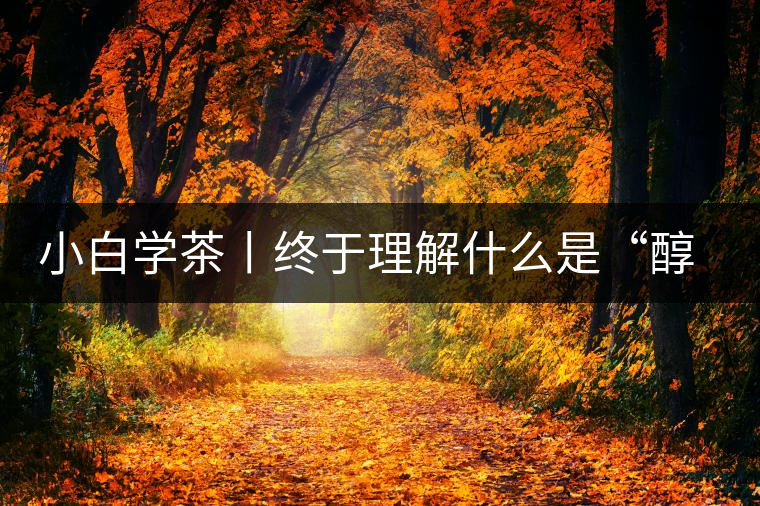 小白學(xué)茶丨終于理解什么是“醇厚、耐泡，回甘”了