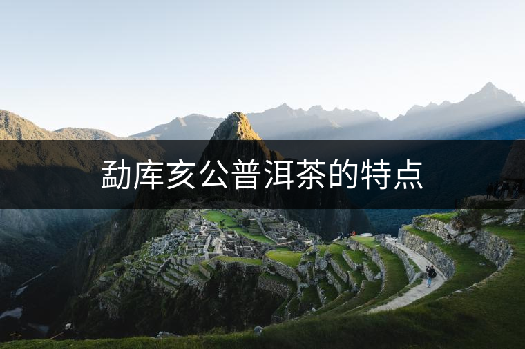 勐庫亥公普洱茶的特點(diǎn)