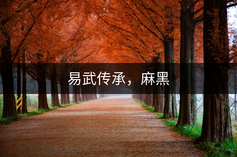 易武傳承，麻黑