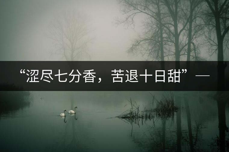 “澀盡七分香，苦退十日甜”─ 老曼娥