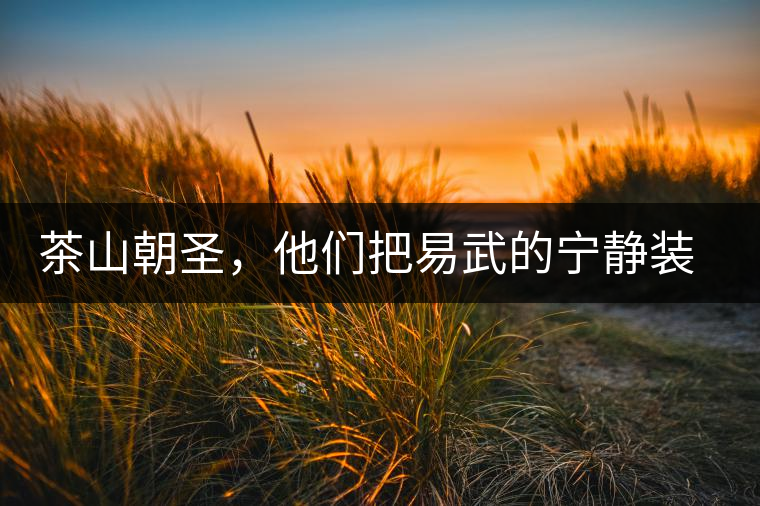 茶山朝圣，他們把易武的寧靜裝進心里，卻把成堆垃圾留在