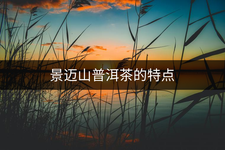 景邁山普洱茶的特點