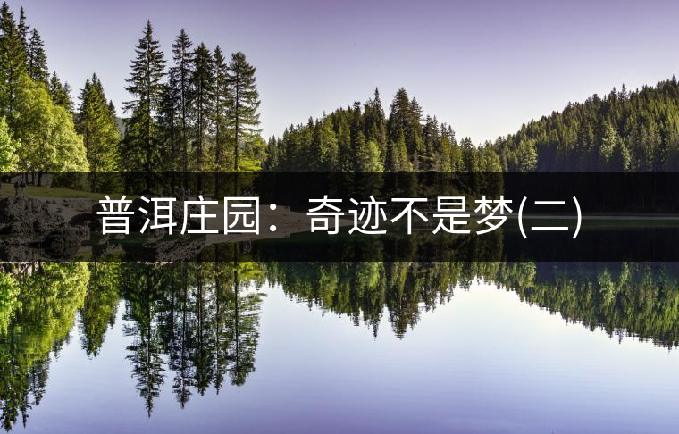 普洱莊園:奇跡不是夢(二) 普洱莊園:奇跡不是夢(二)
