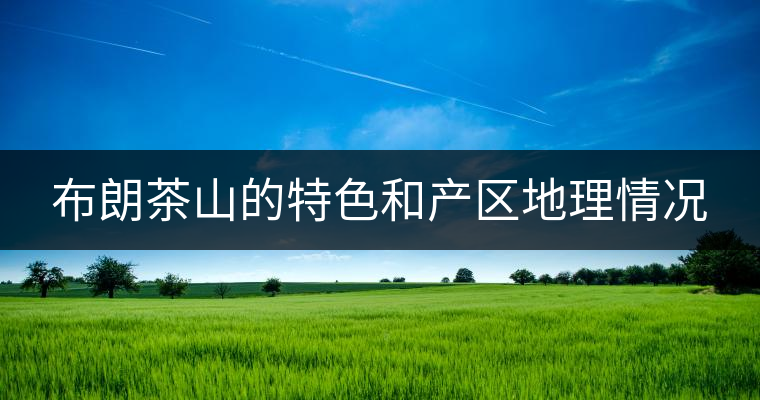布朗茶山的特色和產(chǎn)區(qū)地理情況 布朗茶山的特色和產(chǎn)區(qū)地理情況