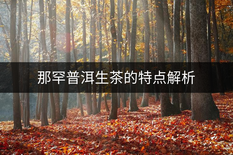 那罕普洱生茶的特點解析 那罕普洱生茶的特點解析