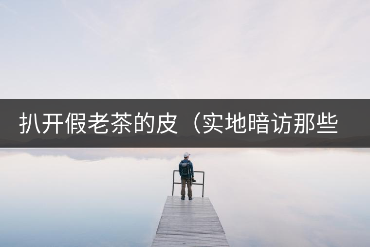 扒開假老茶的皮(實地暗訪那些千奇百怪的假老茶) 扒開假老茶的皮(實地暗訪那些千奇百怪的假老茶)