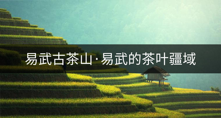 易武古茶山·易武的茶葉疆域