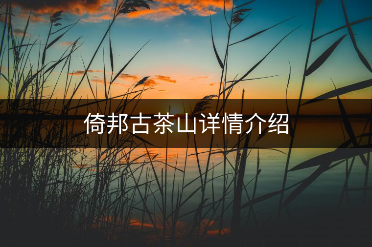 倚邦古茶山詳情介紹 倚邦古茶山詳情介紹