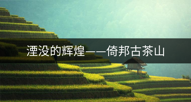 湮沒(méi)的輝煌——倚邦古茶山 湮沒(méi)的輝煌——倚邦古茶山