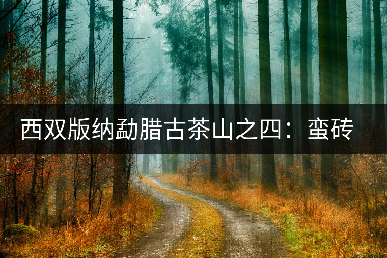 西雙版納勐臘古茶山之四:蠻磚茶山 西雙版納勐臘古茶山之四:蠻磚茶山