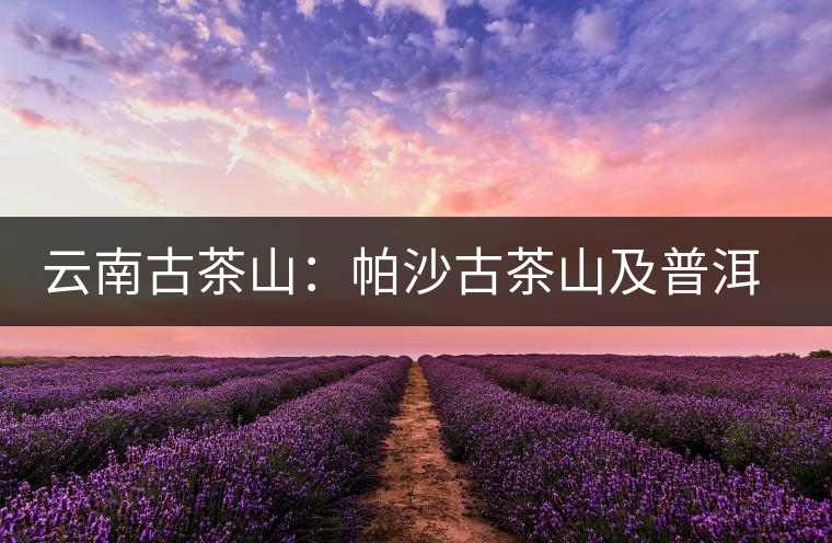 云南古茶山：帕沙古茶山及普洱茶口感特點(diǎn)