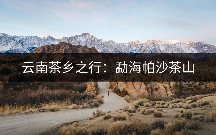 云南茶鄉(xiāng)之行:勐海帕沙茶山 云南茶鄉(xiāng)之行:勐海帕沙茶山