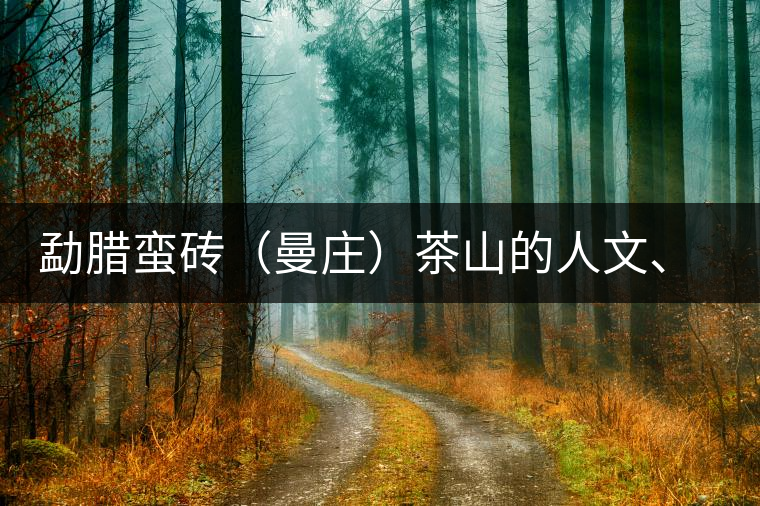 勐臘蠻磚（曼莊）茶山的人文、生態(tài)