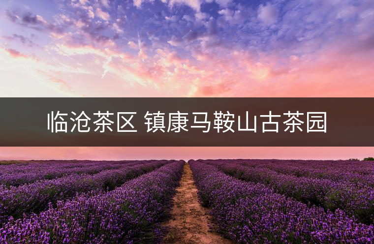 臨滄茶區(qū) 鎮(zhèn)康馬鞍山古茶園