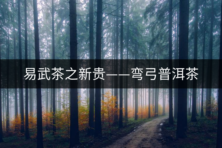 易武茶之新貴——彎弓普洱茶 易武茶之新貴——彎弓普洱茶