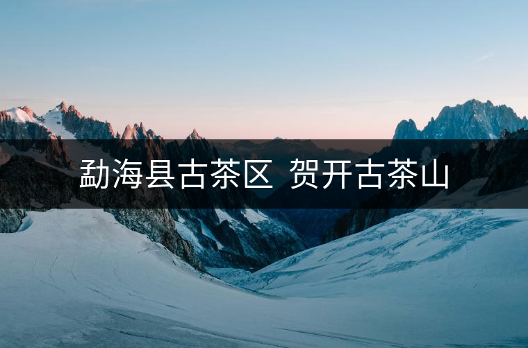 勐??h古茶區(qū) 賀開古茶山 勐??h古茶區(qū) 賀開古茶山