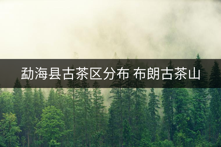 勐?？h古茶區(qū)分布 布朗古茶山