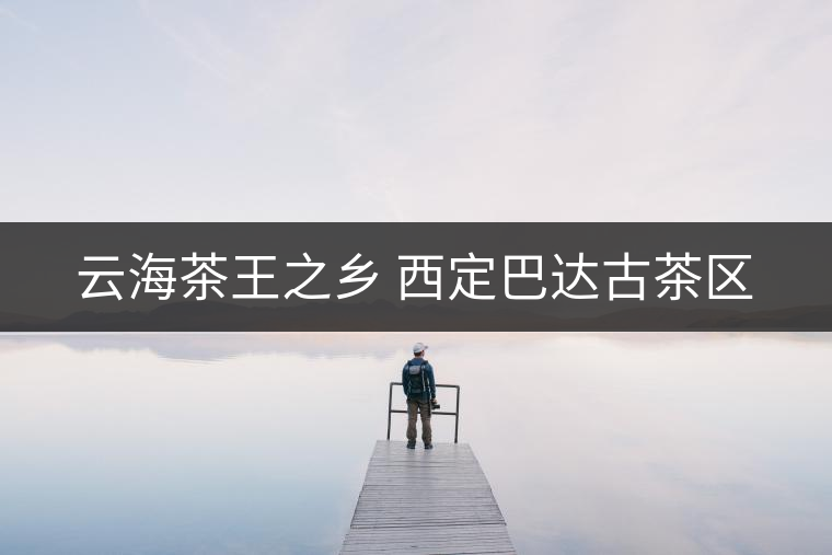 云海茶王之鄉(xiāng) 西定巴達(dá)古茶區(qū) 云海茶王之鄉(xiāng) 西定巴達(dá)古茶區(qū)