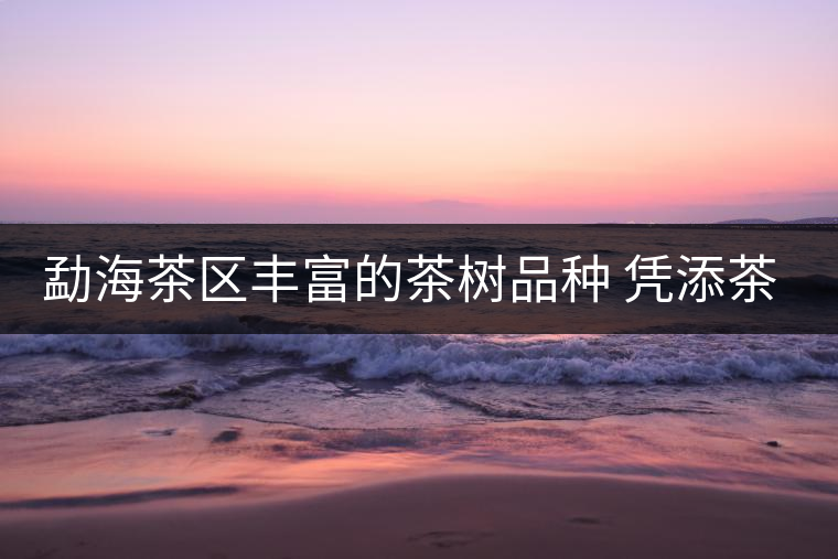 勐海茶區(qū)豐富的茶樹(shù)品種 憑添茶林的多姿風(fēng)彩 勐海茶區(qū)豐富的茶樹(shù)品種 憑添茶林的多姿風(fēng)彩