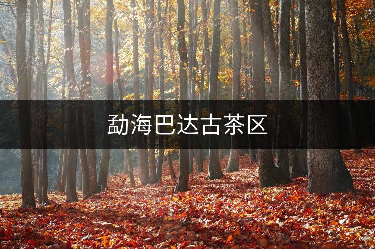 勐海巴達古茶區(qū) 勐海巴達古茶區(qū)
