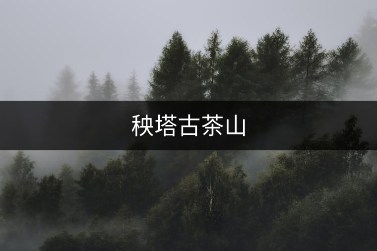 秧塔古茶山 秧塔古茶山