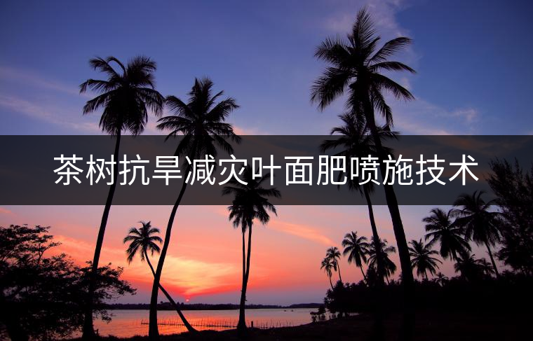 茶樹抗旱減災葉面肥噴施技術(shù)