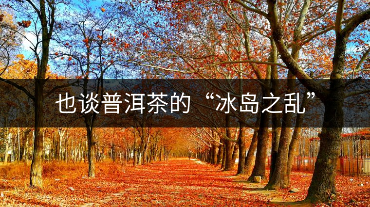 也談普洱茶的“冰島之亂” 也談普洱茶的“冰島之亂”