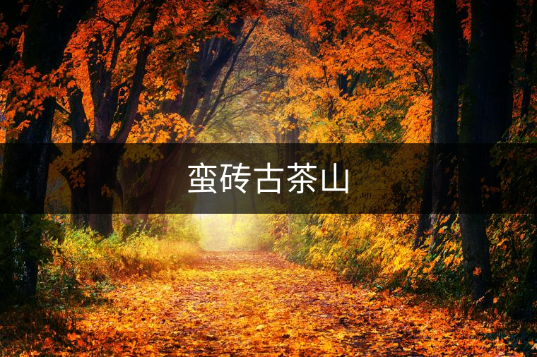 蠻磚古茶山
