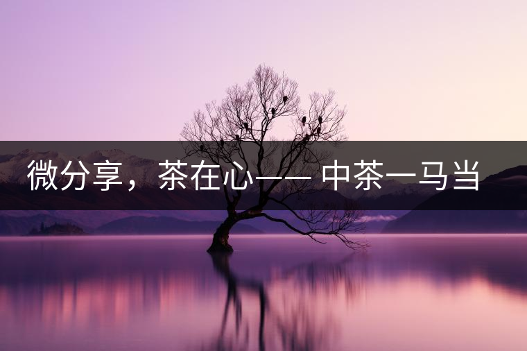 微分享，茶在心—— 中茶一馬當(dāng)先