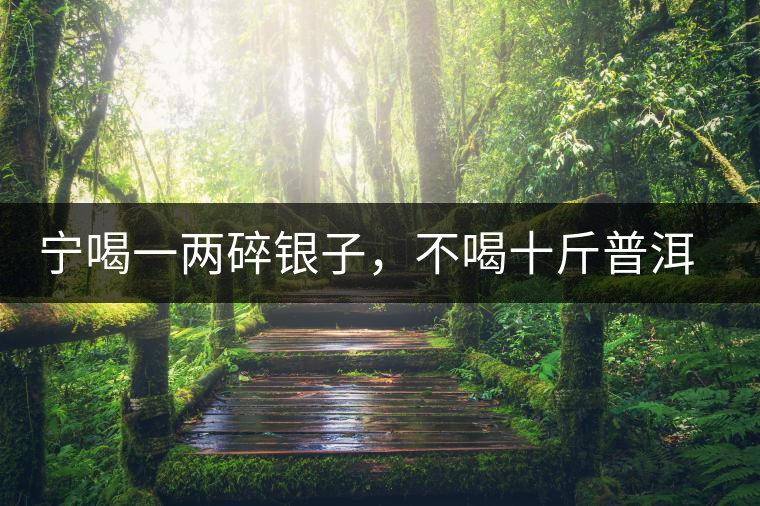 寧喝一兩碎銀子，不喝十斤普洱茶