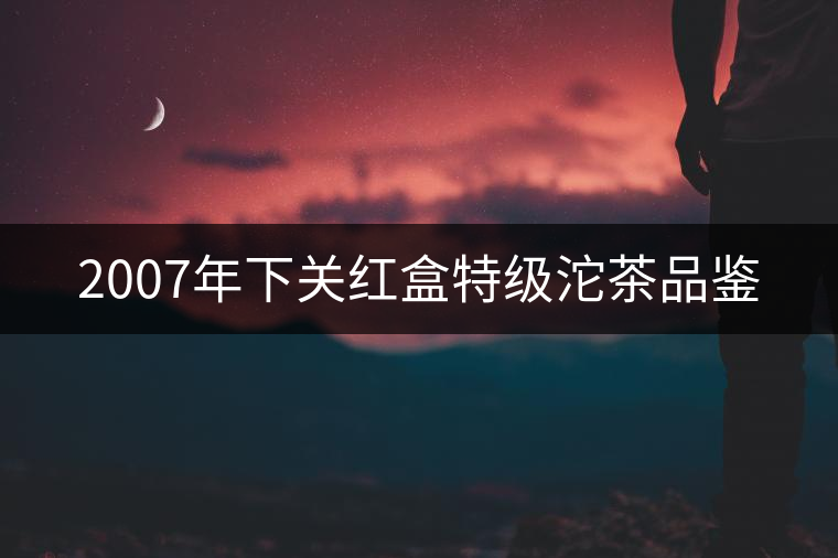 2007年下關(guān)紅盒特級(jí)沱茶品鑒 2007年下關(guān)紅盒特級(jí)沱茶品鑒