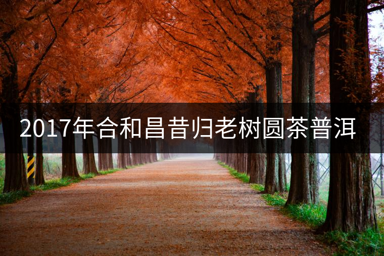 2017年合和昌昔歸老樹(shù)圓茶普洱生茶 2017年合和昌昔歸老樹(shù)圓茶普洱生茶