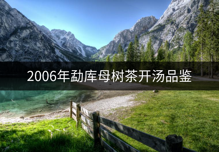 2006年勐庫(kù)母樹茶開湯品鑒 2006年勐庫(kù)母樹茶開湯品鑒