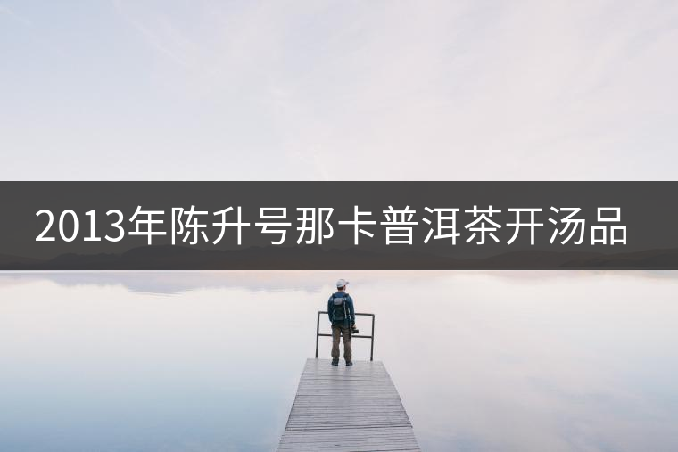 2013年陳升號(hào)那卡普洱茶開湯品鑒 2013年陳升號(hào)那卡普洱茶開湯品鑒