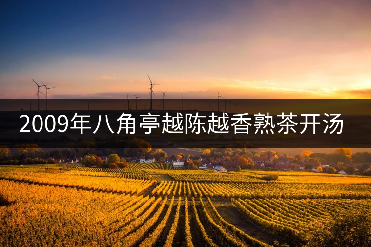 2009年八角亭越陳越香熟茶開湯品鑒