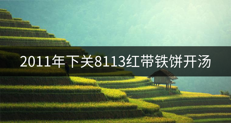 2011年下關(guān)8113紅帶鐵餅開湯 2011年下關(guān)8113紅帶鐵餅開湯