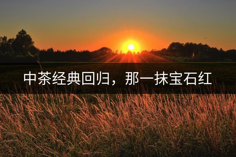 中茶經(jīng)典回歸，那一抹寶石紅
