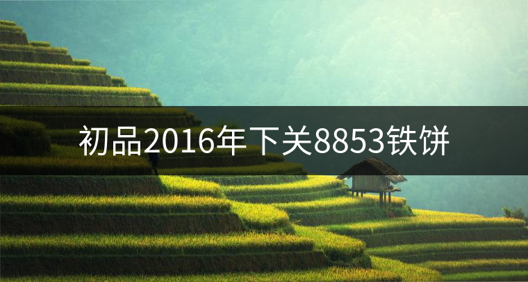 初品2016年下關8853鐵餅 初品2016年下關8853鐵餅