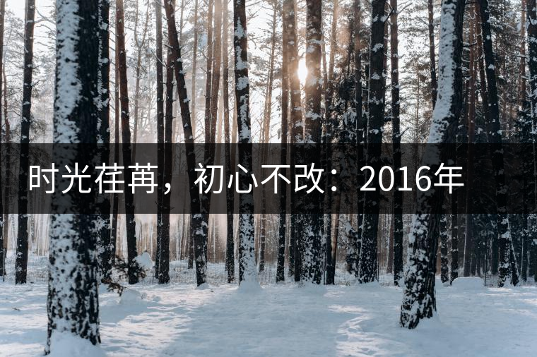 時(shí)光荏苒，初心不改：2016年老同志為天下人做好茶開湯