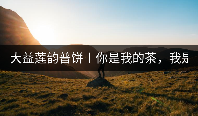 大益蓮韻普餅︱你是我的茶，我是你的人！