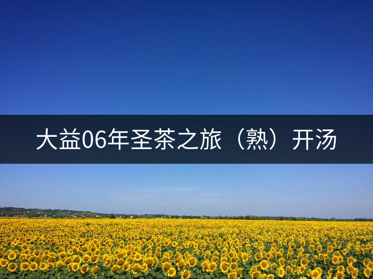 大益06年圣茶之旅(熟)開湯 大益06年圣茶之旅(熟)開湯